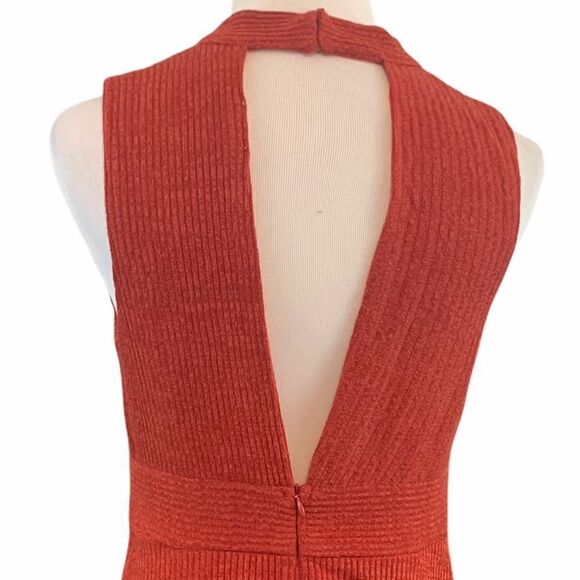 Hem & Thread rust ribbed lightweight sweater dress - Picture 5 of 9